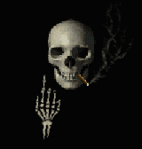 3)